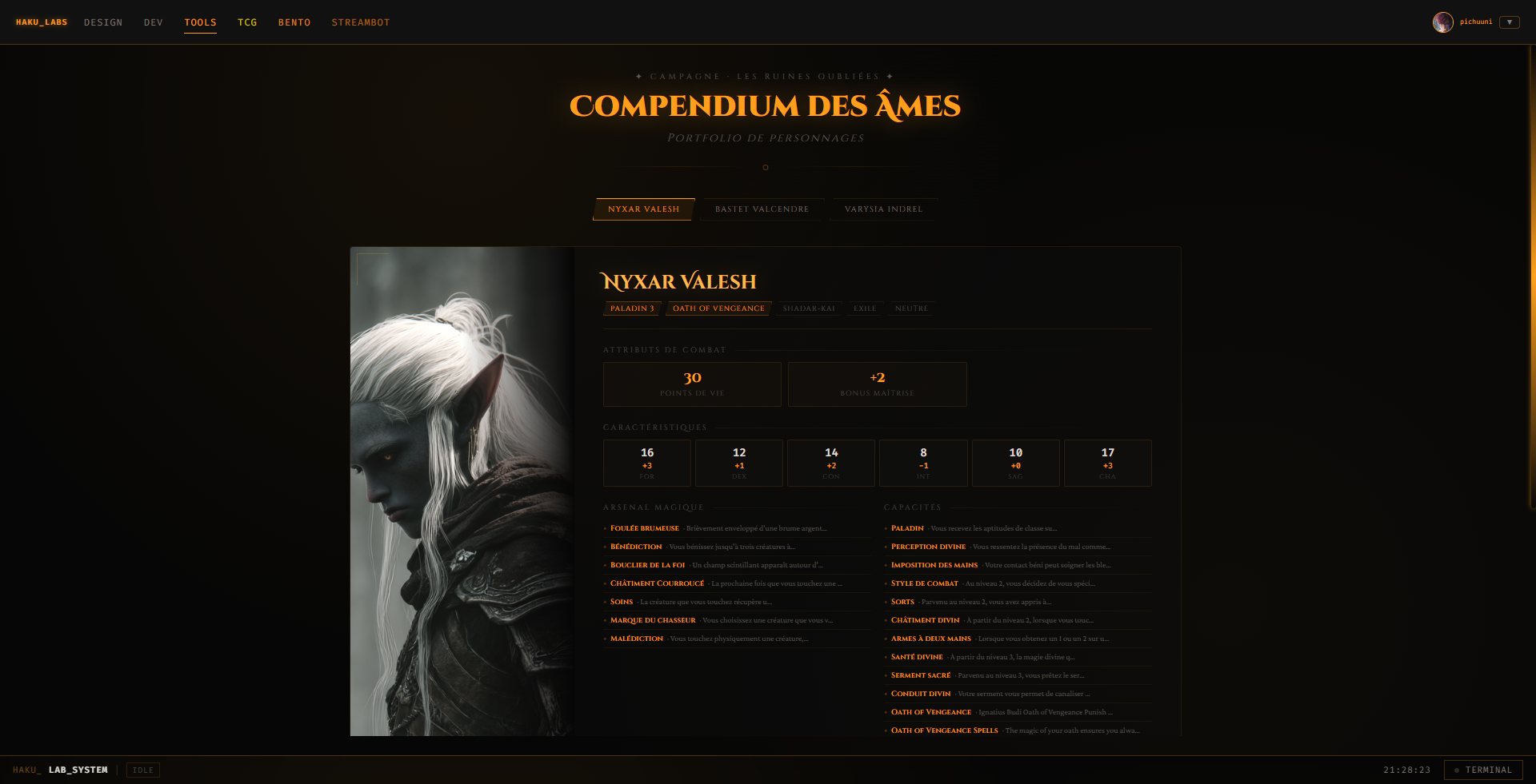Compendium des Âmes — fiche de Nyxar Valesh, Paladin 3